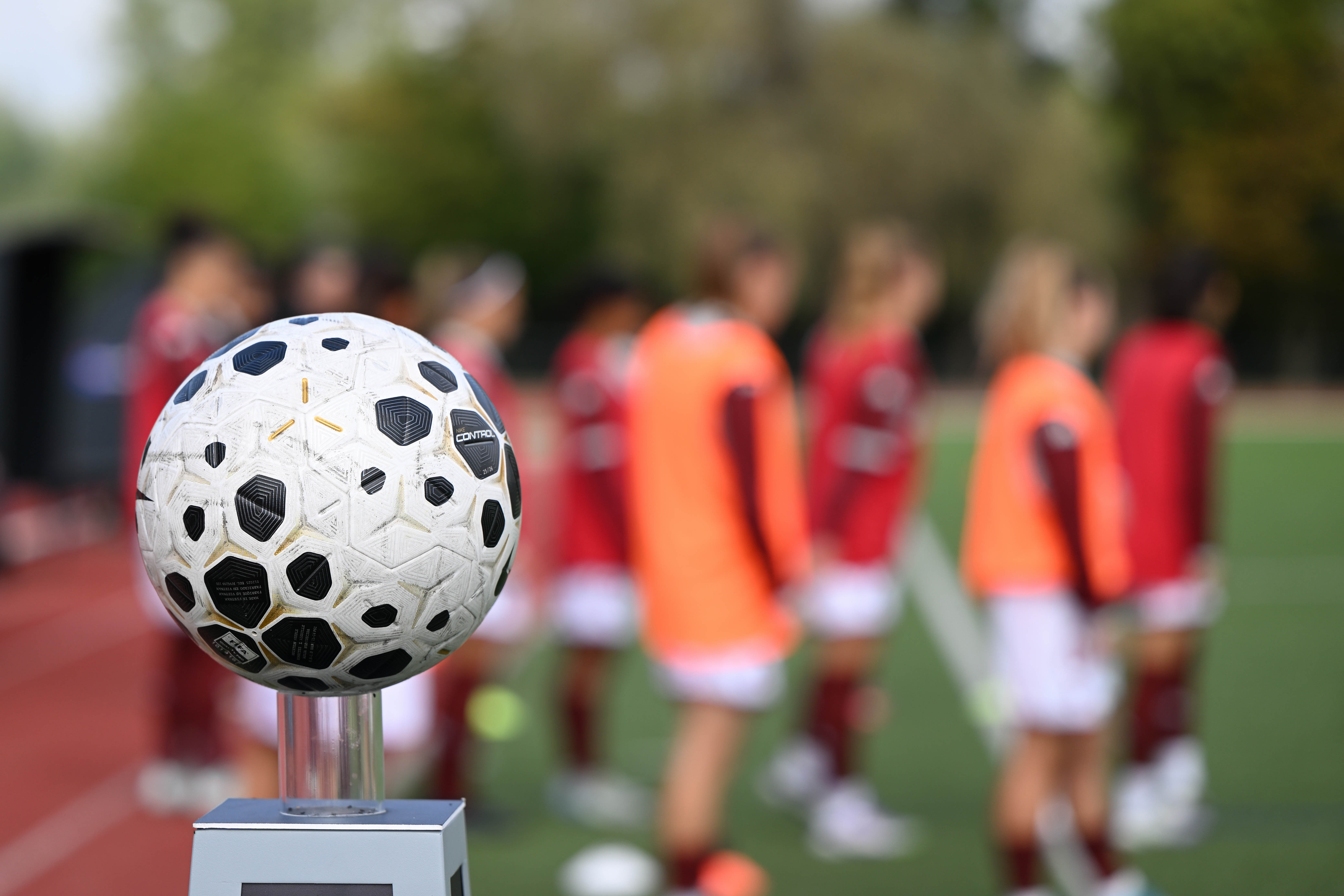 Six renforts pour l'équipe féminine