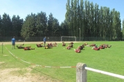 Entraînement 03/07/2014  : Séance d\'étirements sous la houlette de Jacques Muller